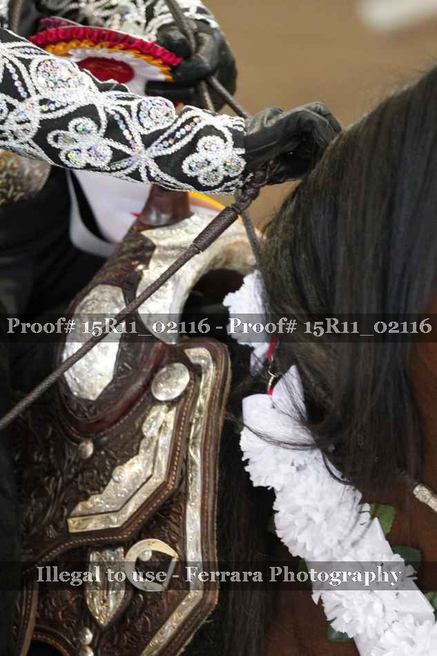 Proof 15R11_02116