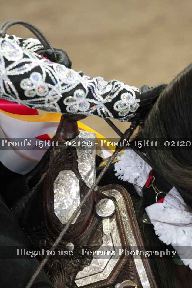 Proof 15R11_02120
