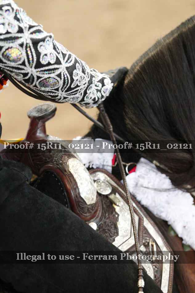 Proof 15R11_02121