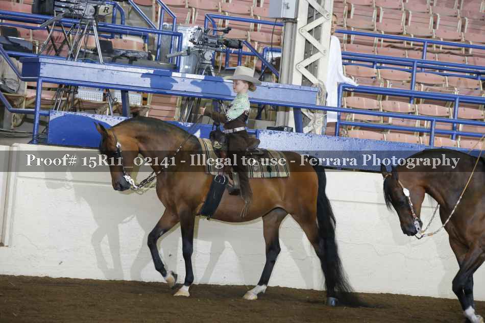Proof 15R11_02141