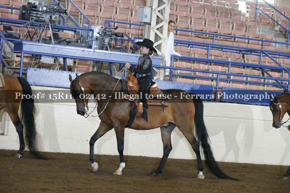 Proof 15R11_02142