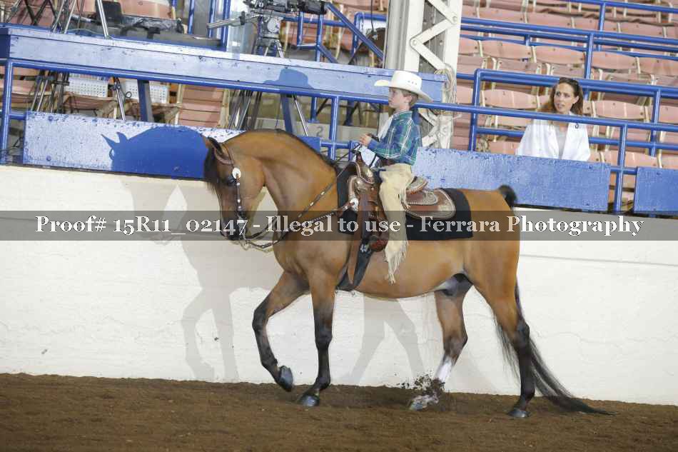 Proof 15R11_02147