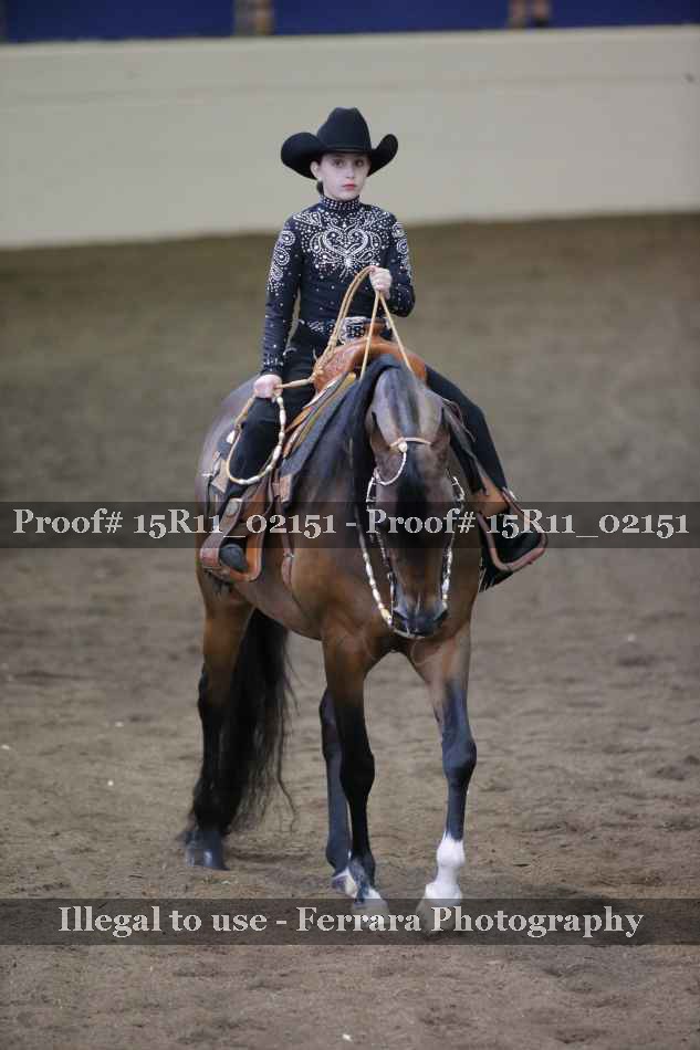 Proof 15R11_02151