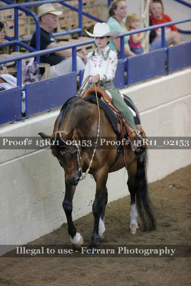 Proof 15R11_02153