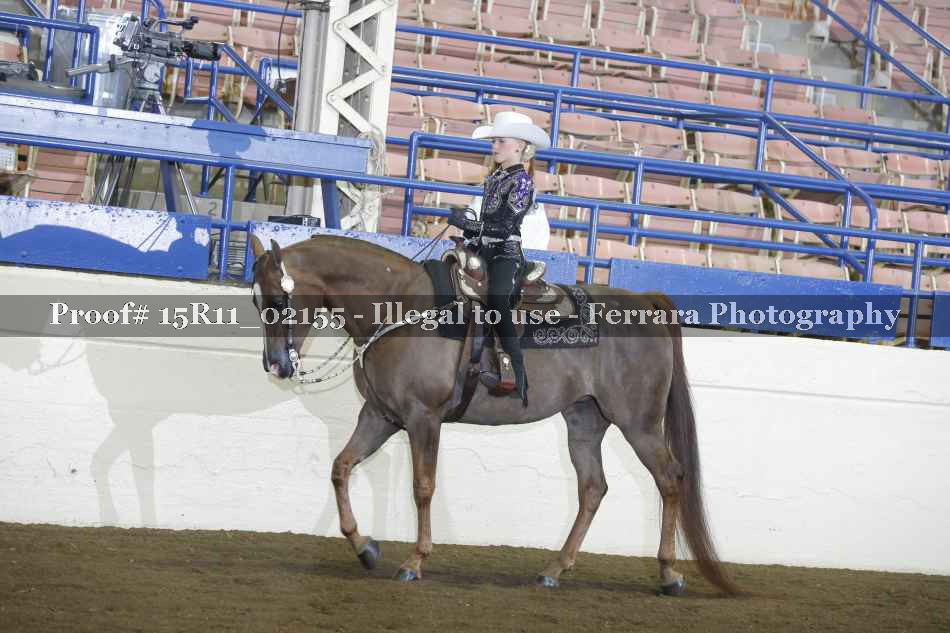 Proof 15R11_02155