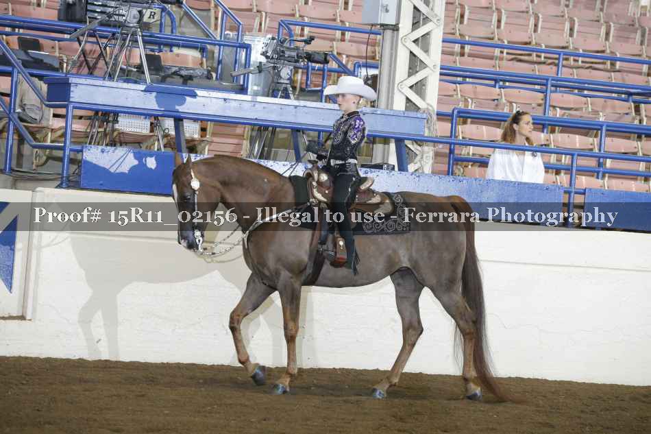 Proof 15R11_02156