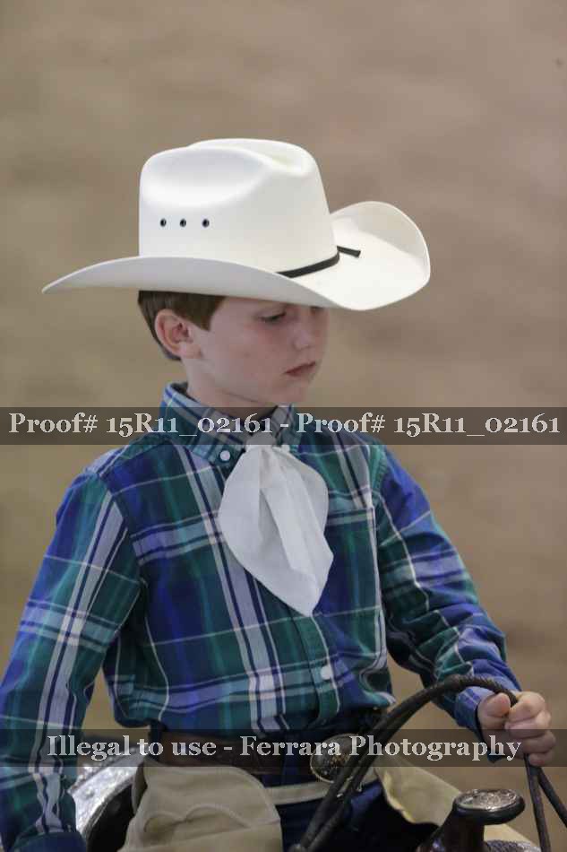Proof 15R11_02161