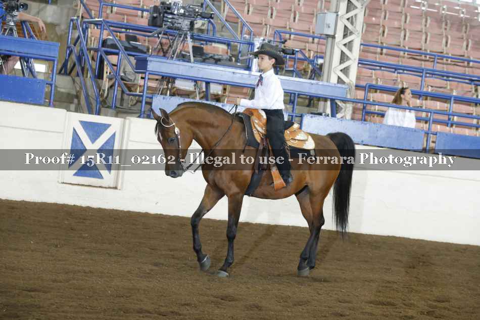 Proof 15R11_02162