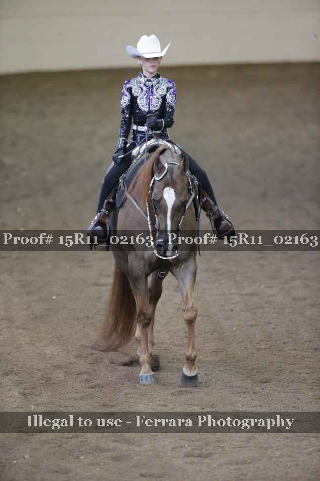 Proof 15R11_02163