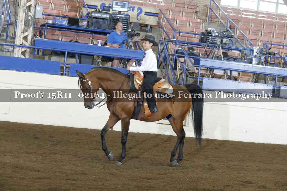 Proof 15R11_02164
