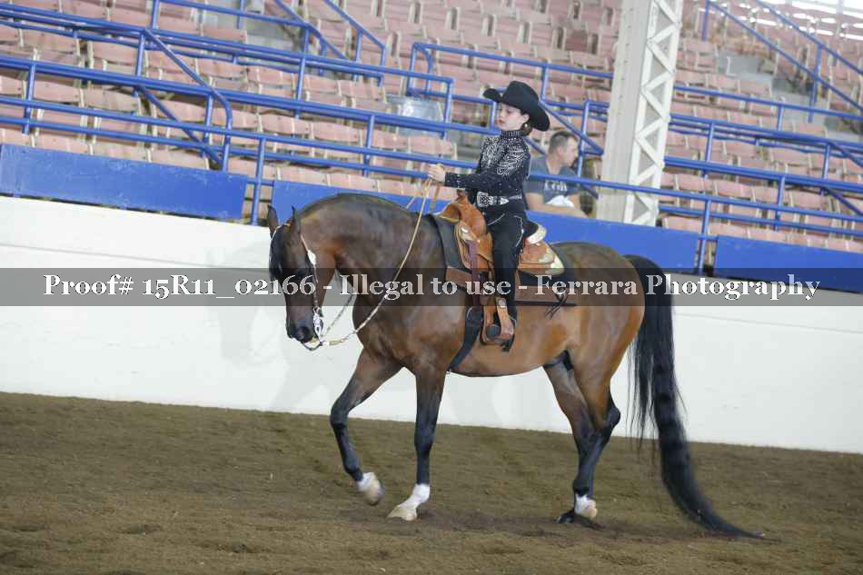 Proof 15R11_02166