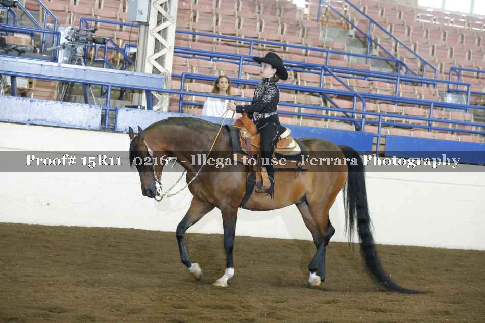 Proof 15R11_02167