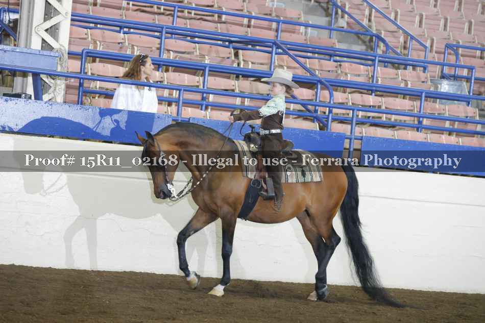 Proof 15R11_02168