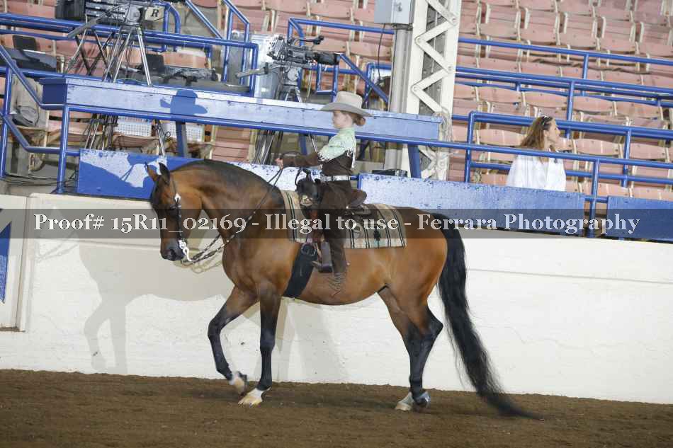 Proof 15R11_02169
