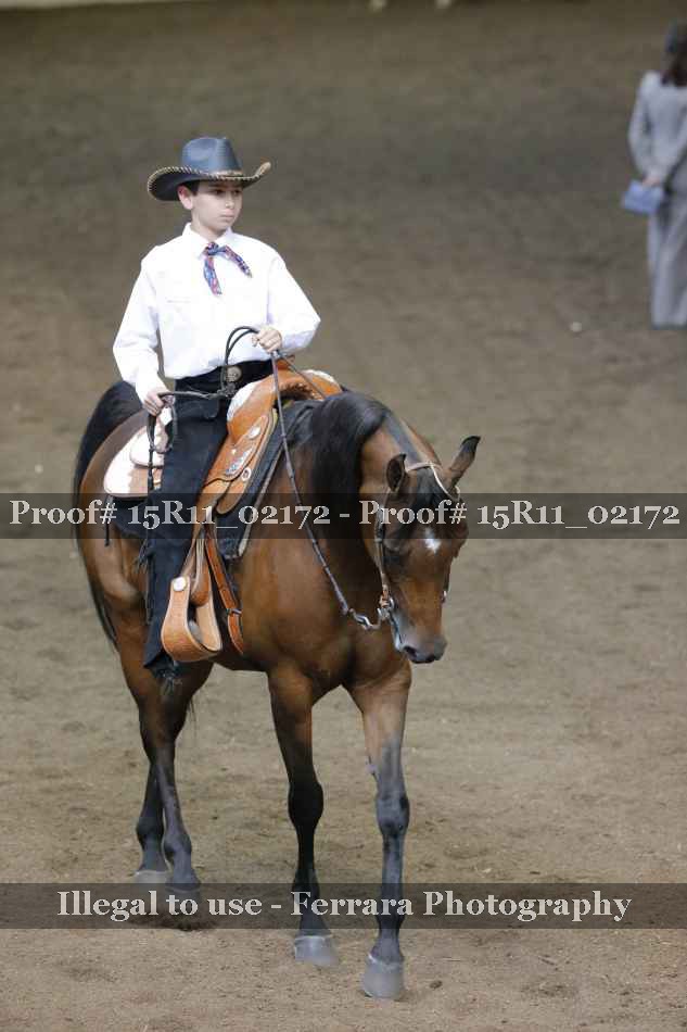 Proof 15R11_02172
