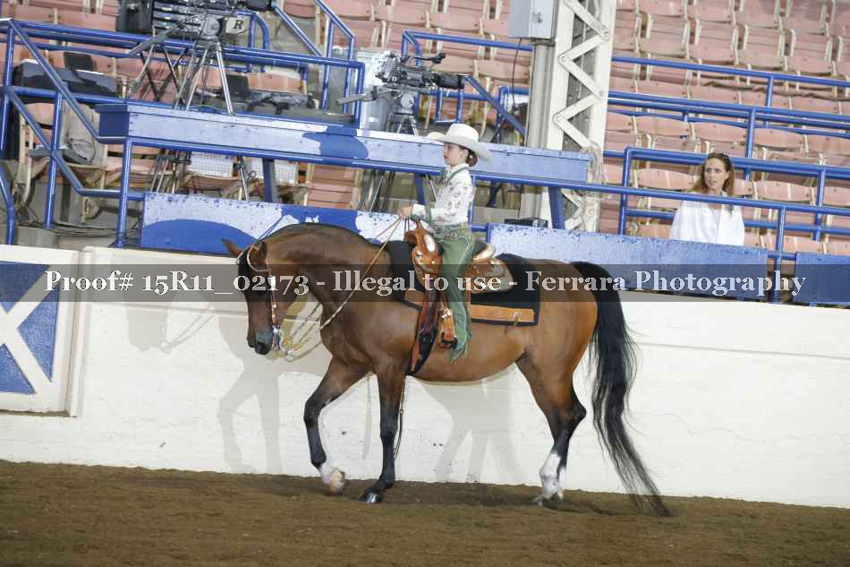 Proof 15R11_02173
