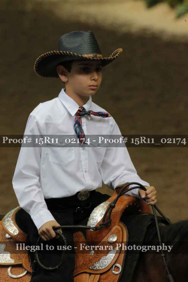 Proof 15R11_02174