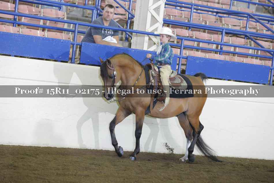 Proof 15R11_02175