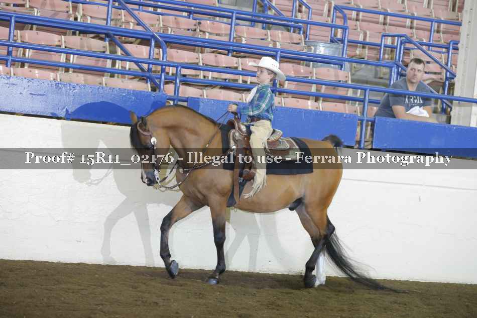 Proof 15R11_02176
