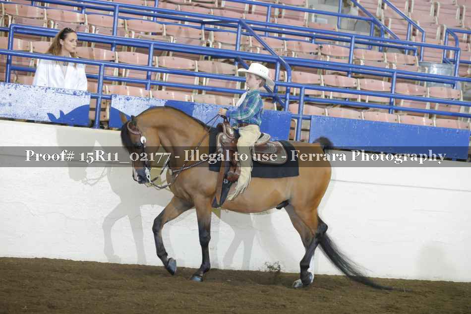 Proof 15R11_02177