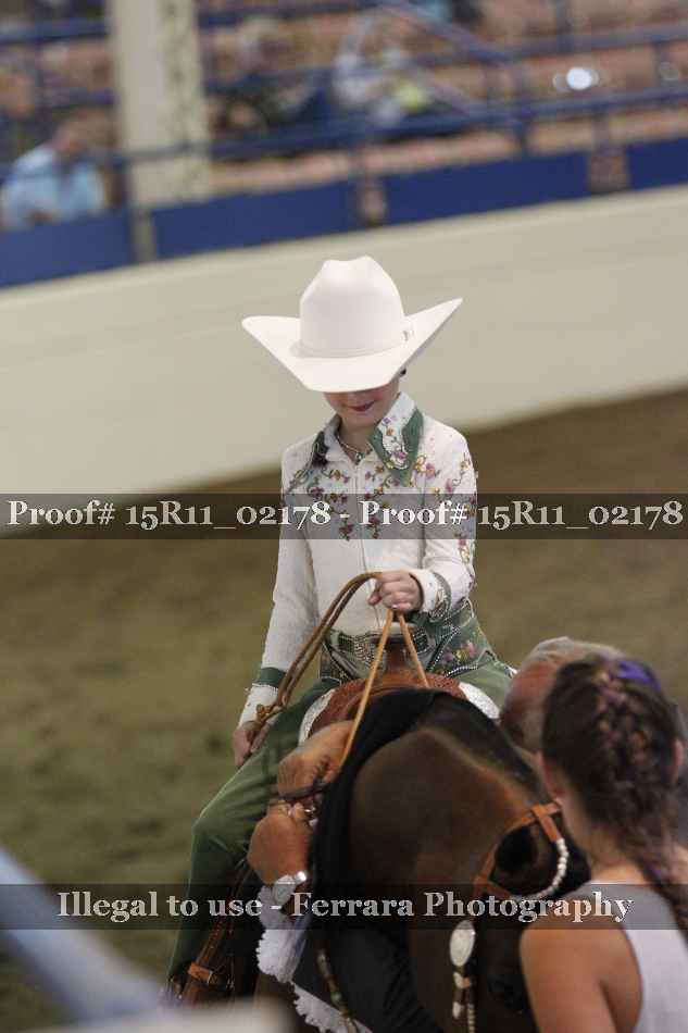 Proof 15R11_02178