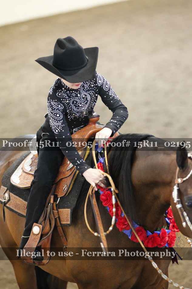 Proof 15R11_02195