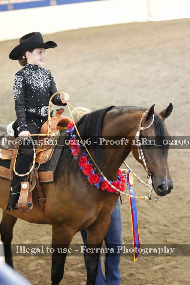 Proof 15R11_02196