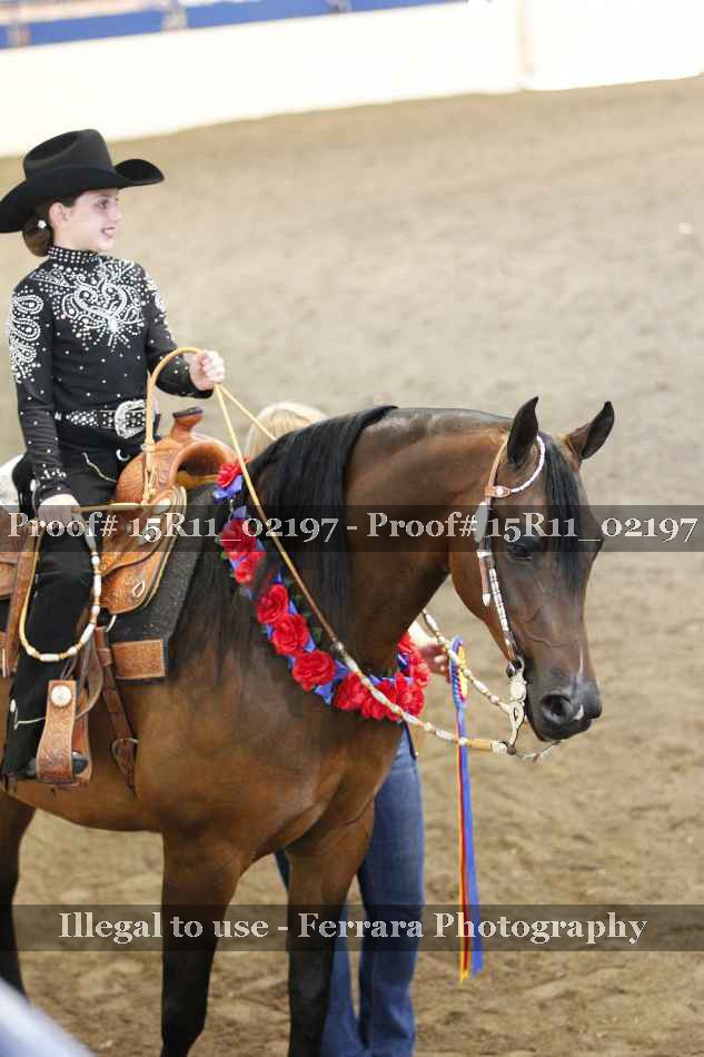 Proof 15R11_02197
