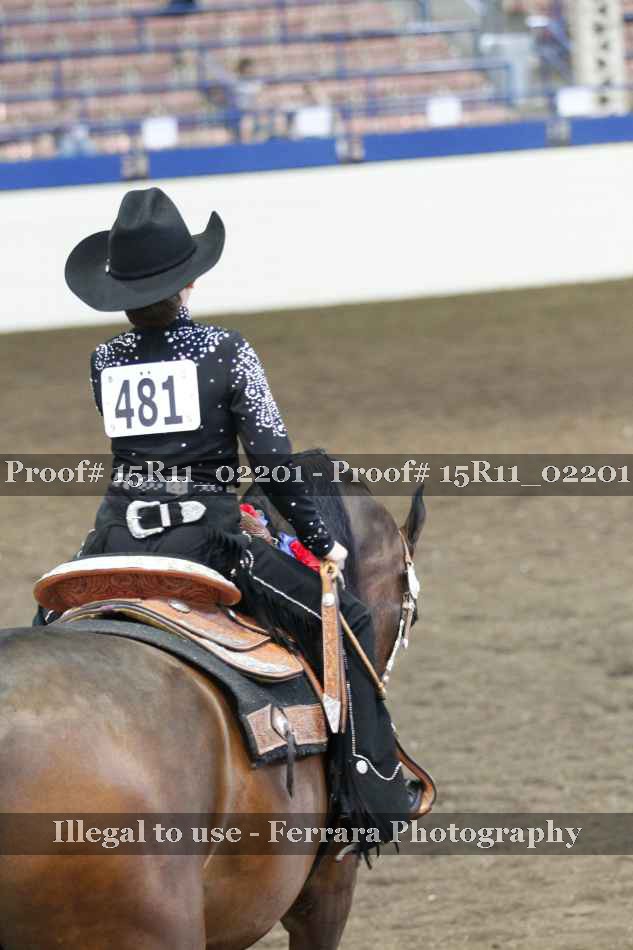 Proof 15R11_02201