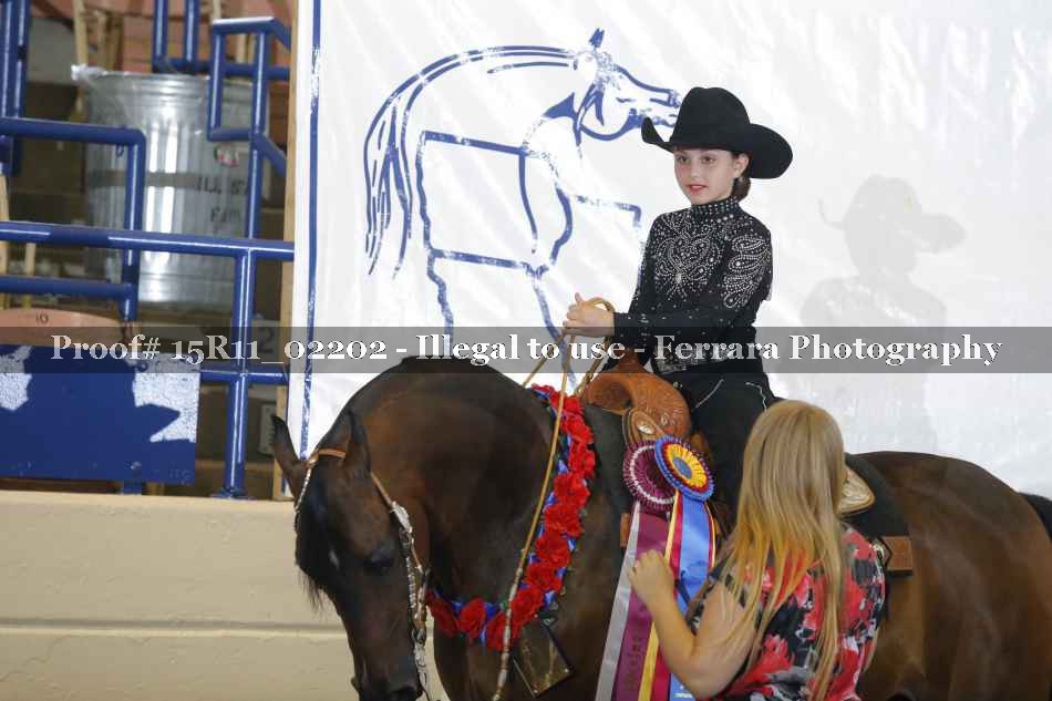 Proof 15R11_02202