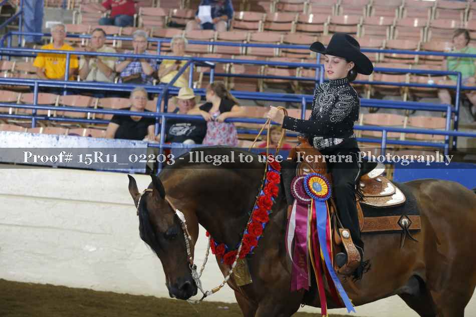 Proof 15R11_02203