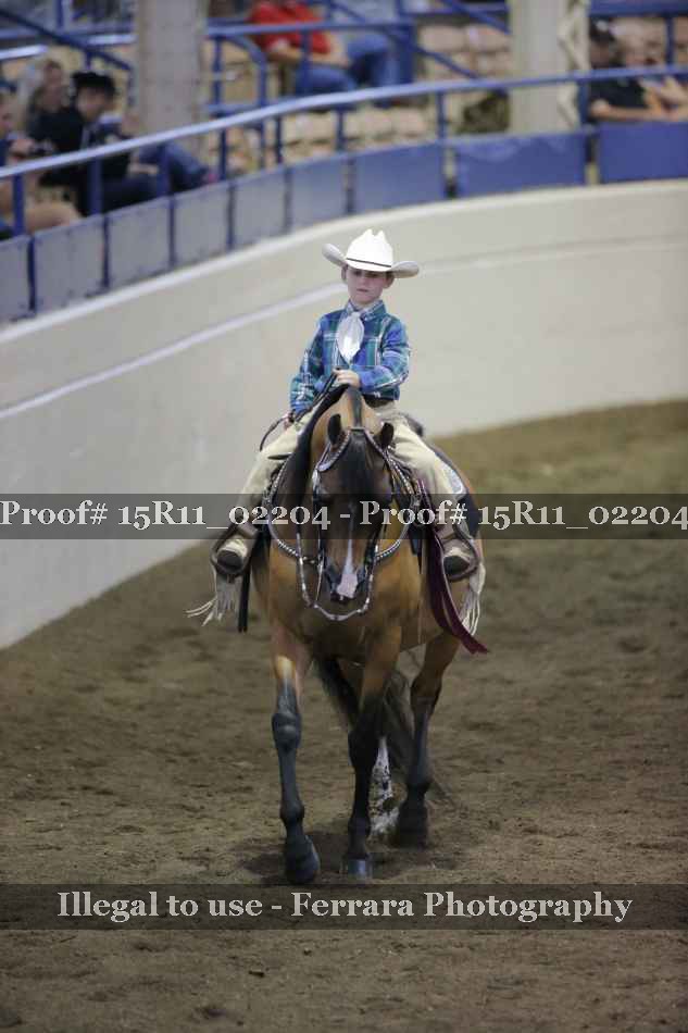 Proof 15R11_02204