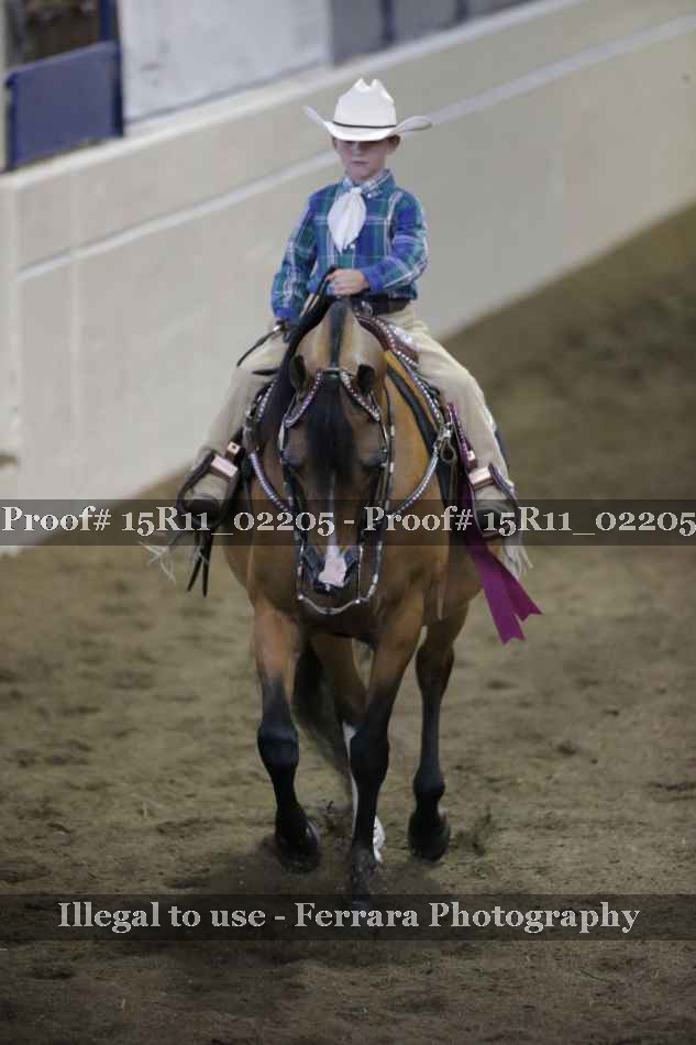 Proof 15R11_02205