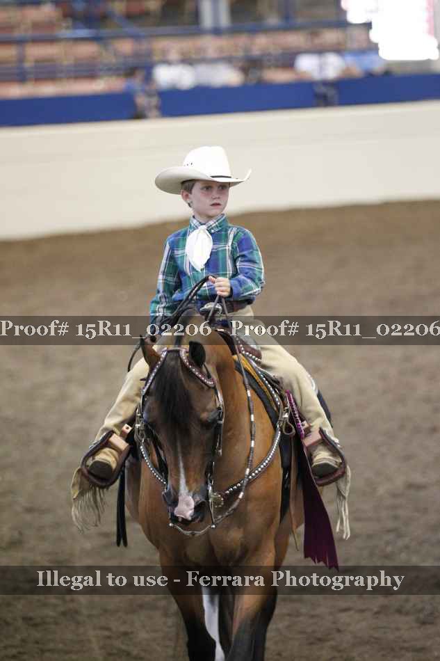 Proof 15R11_02206