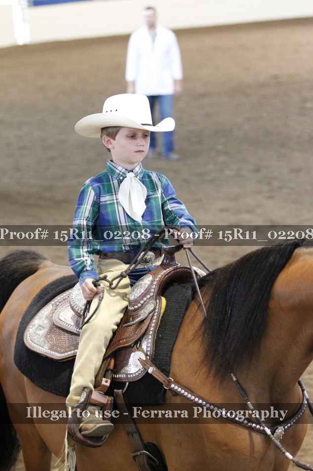 Proof 15R11_02208