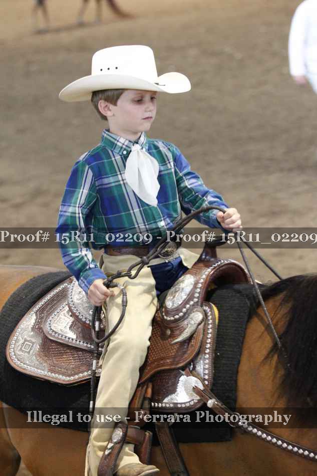 Proof 15R11_02209