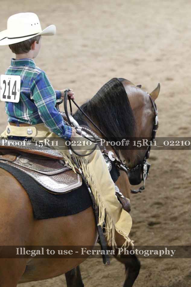Proof 15R11_02210