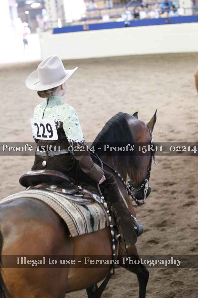 Proof 15R11_02214
