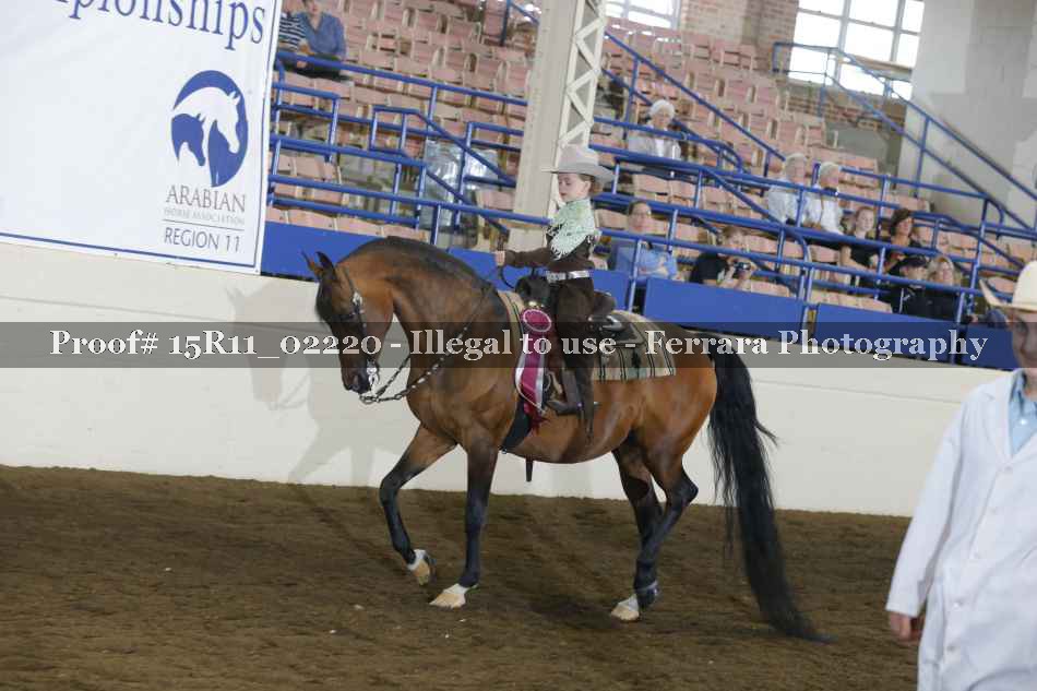 Proof 15R11_02220