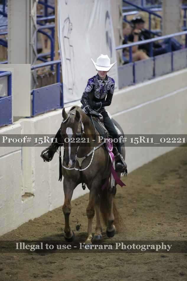 Proof 15R11_02221
