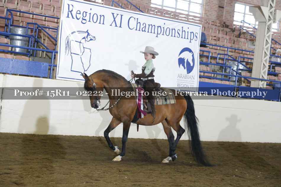 Proof 15R11_02222