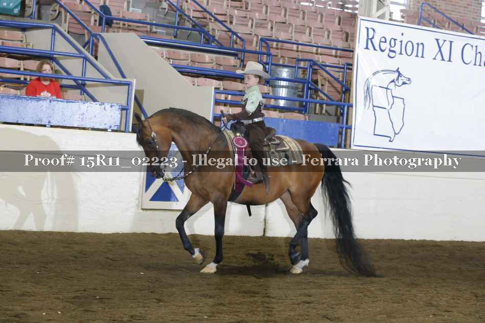 Proof 15R11_02223