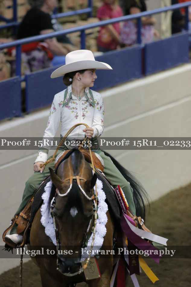Proof 15R11_02233