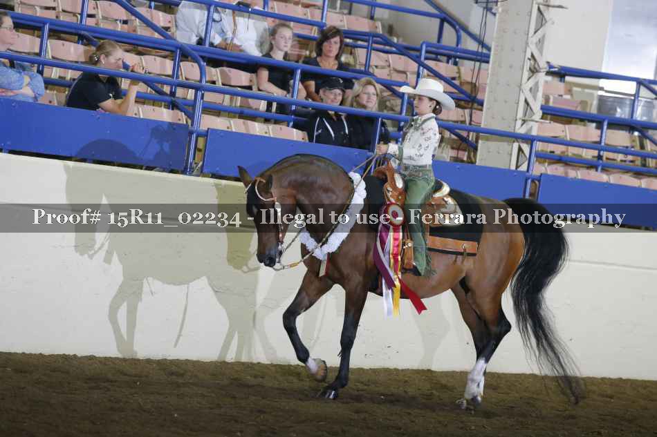 Proof 15R11_02234