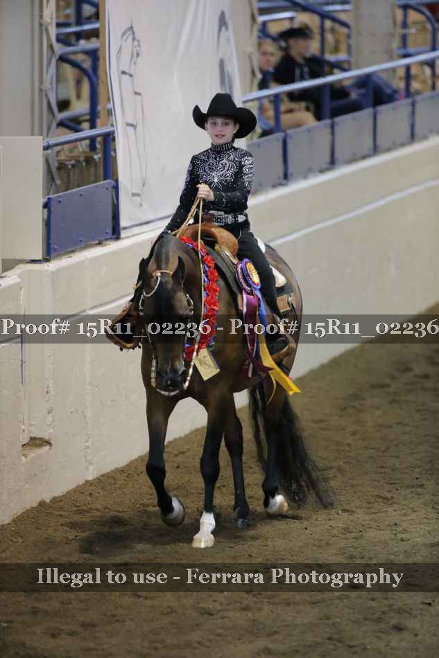 Proof 15R11_02236