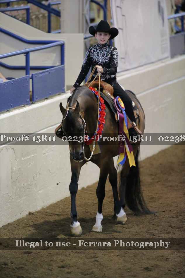 Proof 15R11_02238