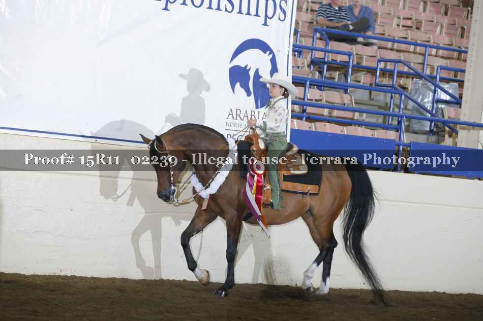Proof 15R11_02239