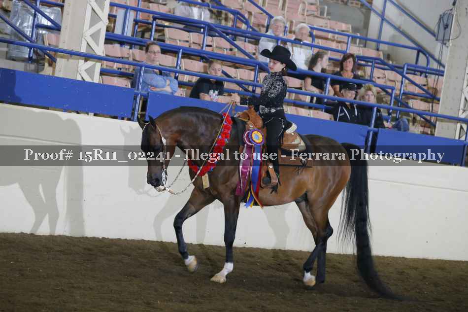 Proof 15R11_02241