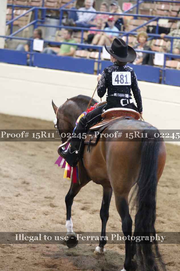 Proof 15R11_02245