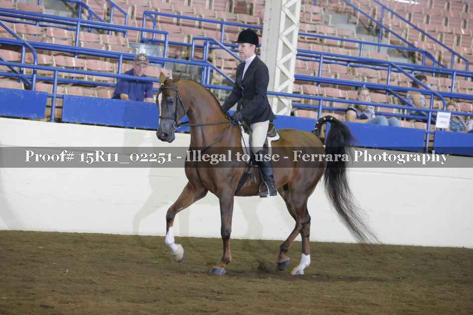 Proof 15R11_02251